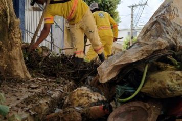 Foto - Demsur promove limpeza em Recreio